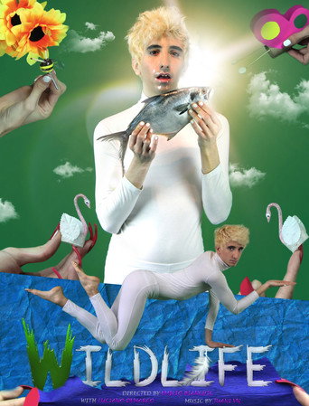 Wildlife movie poster
