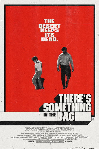 There's Something in the Bag movie poster