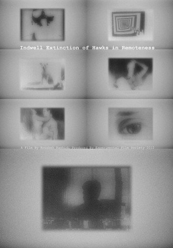 Indwell Extinction of Hawks in Remoteness movie poster