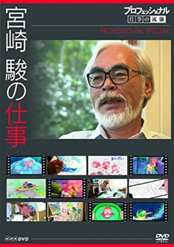 Professional Special: Director Miyazaki Hayao movie poster