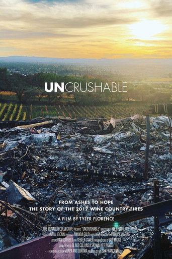 Uncrushable movie poster
