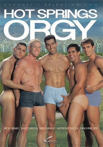 Hot Springs Orgy movie poster