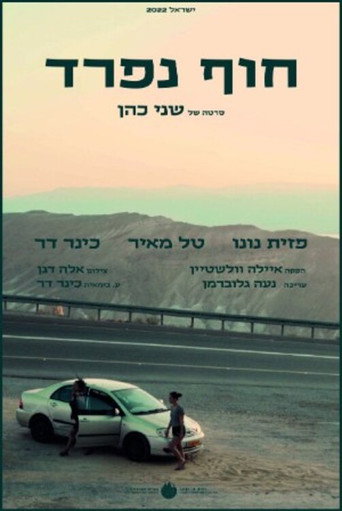 Different Shores movie poster