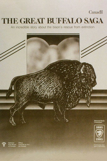 The Great Buffalo Saga movie poster