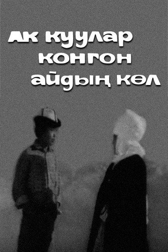 Swans Arrive Here movie poster