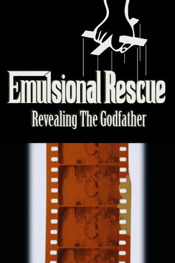 Emulsional Rescue: Revealing 'The Godfather' movie poster