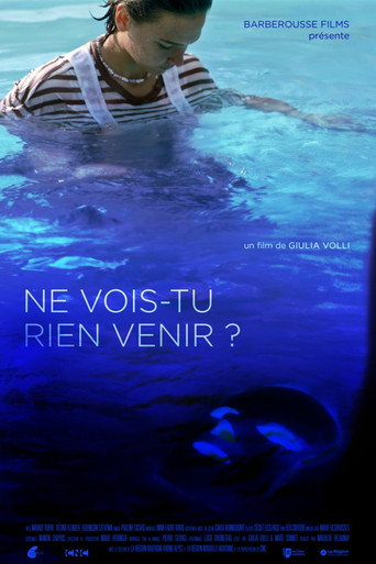 Ne vois-tu rien venir ? movie poster