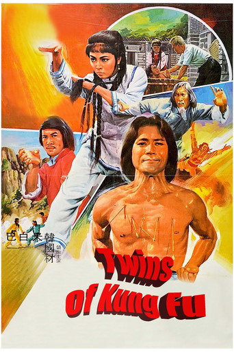 Twins of Kung Fu movie poster