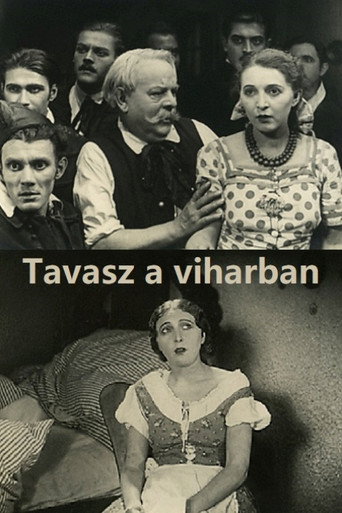 Tavasz a viharban movie poster