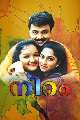Niram movie poster