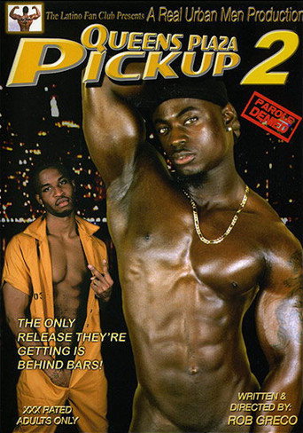 Queens Plaza Pickup 2: Parole Denied movie poster