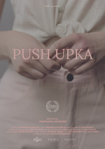 Push upka movie poster