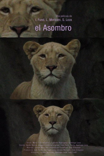 El asombro movie poster