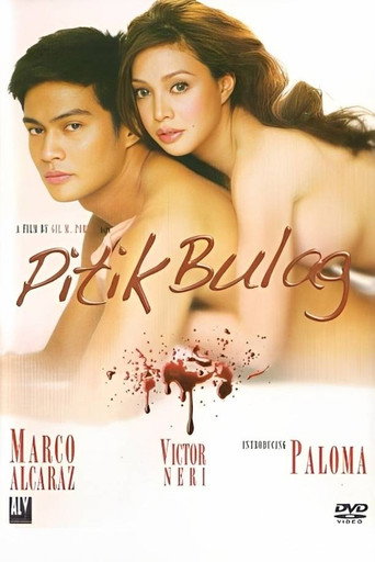 Pitik Bulag movie poster