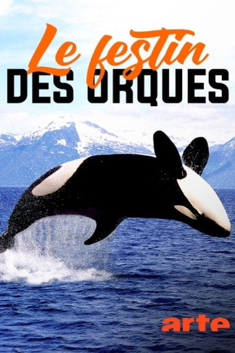 Norvège : le festin des orques movie poster