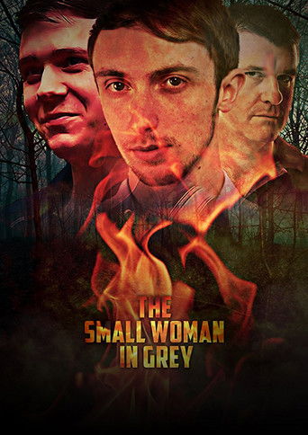 The Small Woman in Grey movie poster