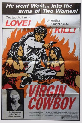 Virgin Cowboy movie poster