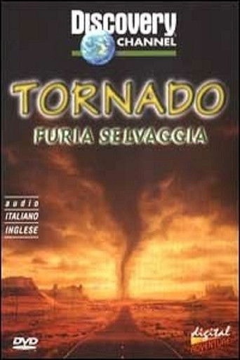 Tornado Chasers movie poster