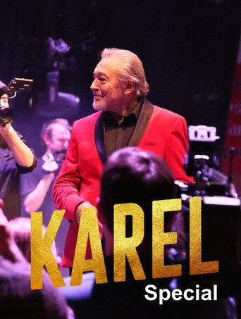 Karel Special movie poster