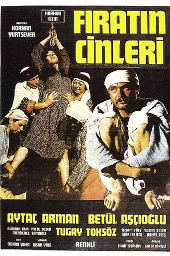 Fırat'ın Cinleri movie poster