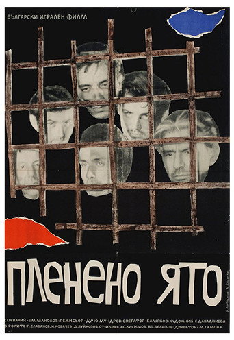 Captive Flock movie poster