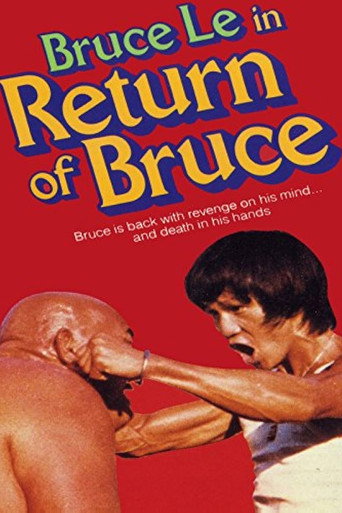Return of Bruce movie poster
