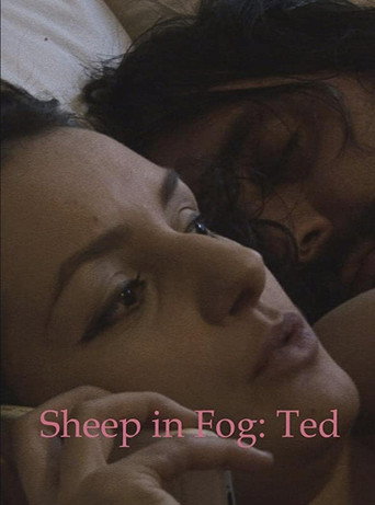 Sheep in Fog movie poster