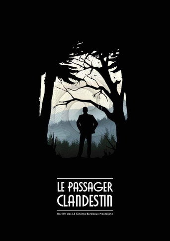 The Stowaway movie poster
