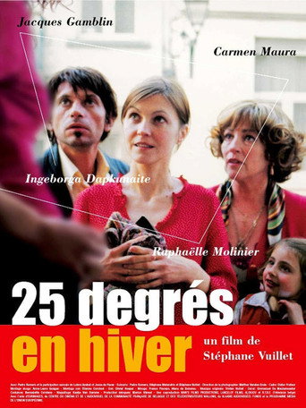25 Degrees in Winter movie poster