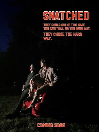 Snatched movie poster