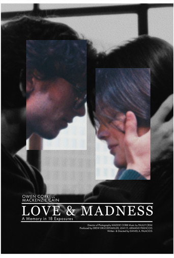 Love & Madness movie poster