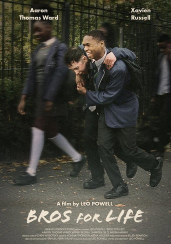 Bros for Life movie poster