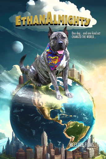 Ethan Almighty – Ethan’s Law movie poster
