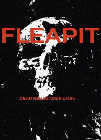 Fleapit movie poster