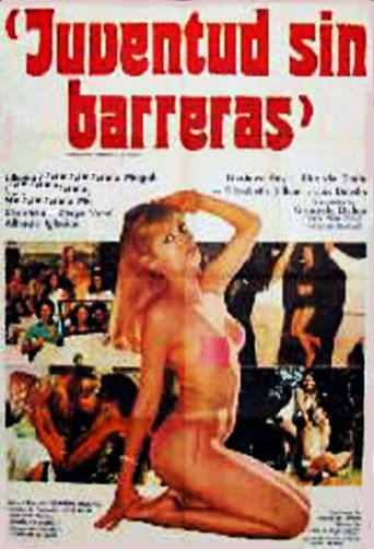Youth Without Barriers movie poster