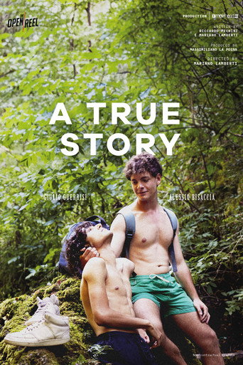 A True Story movie poster