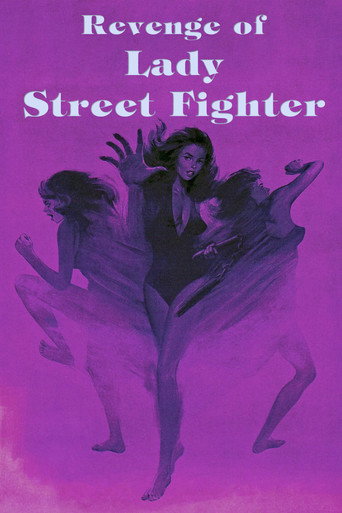 Revenge of Lady Street Fighter movie poster