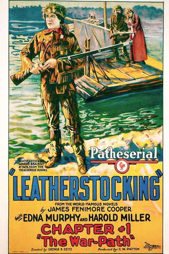 Leatherstocking movie poster
