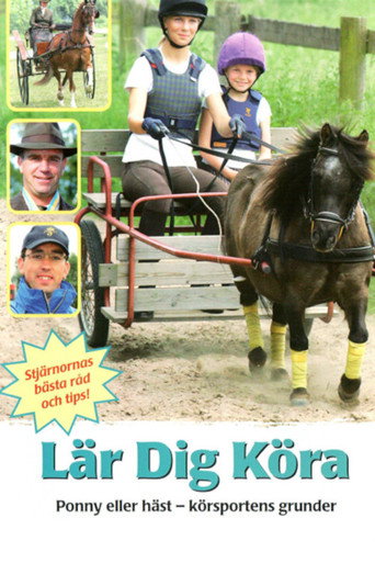 Lär dig köra movie poster