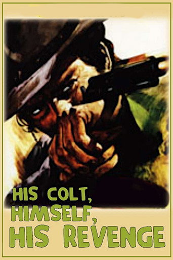 His Colt, Himself, His Revenge movie poster