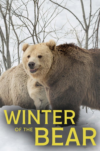 Winter of the Bear movie poster