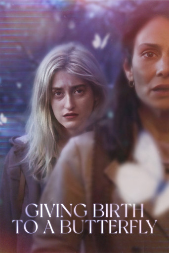 Giving Birth to a Butterfly movie poster