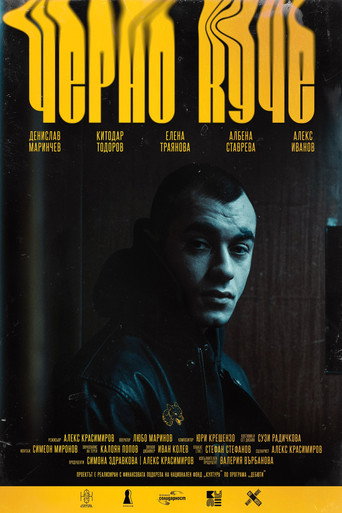 Black Dog movie poster