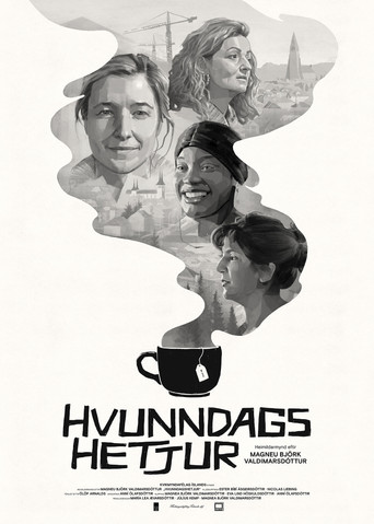 Are You Icelandic? movie poster
