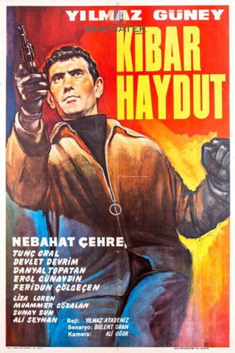 Kibar Haydut movie poster