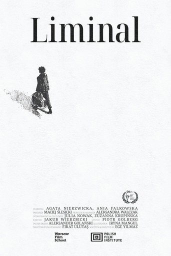 Liminal movie poster