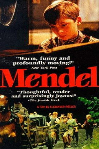 Mendel movie poster