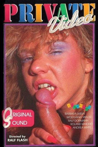 Private Video 2 movie poster