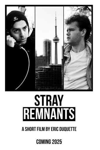 Stray Remnants movie poster