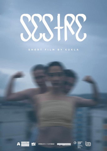 Sisters movie poster